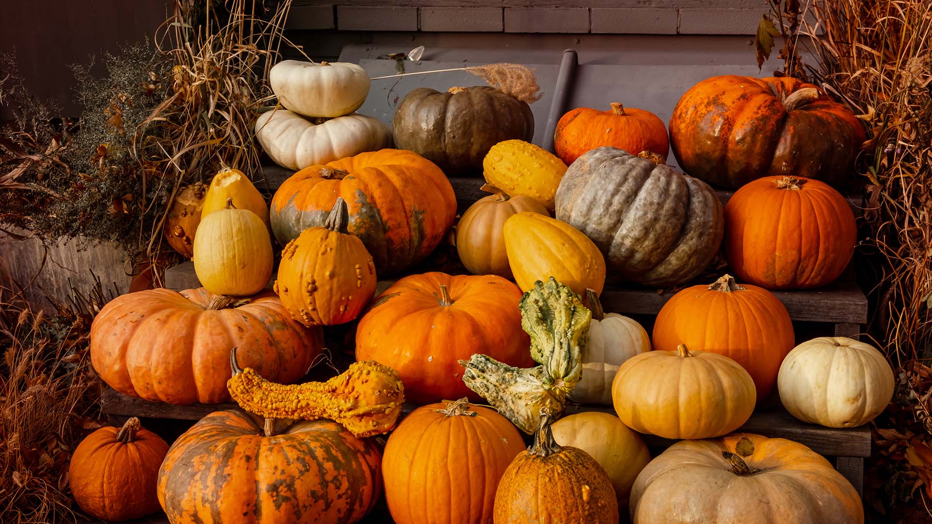 Webinar-Harvesting Leads That Feed Your Business