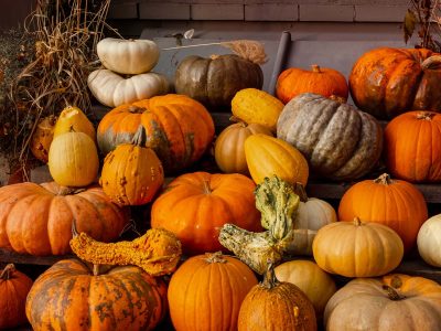 Webinar-Harvesting Leads That Feed Your Business